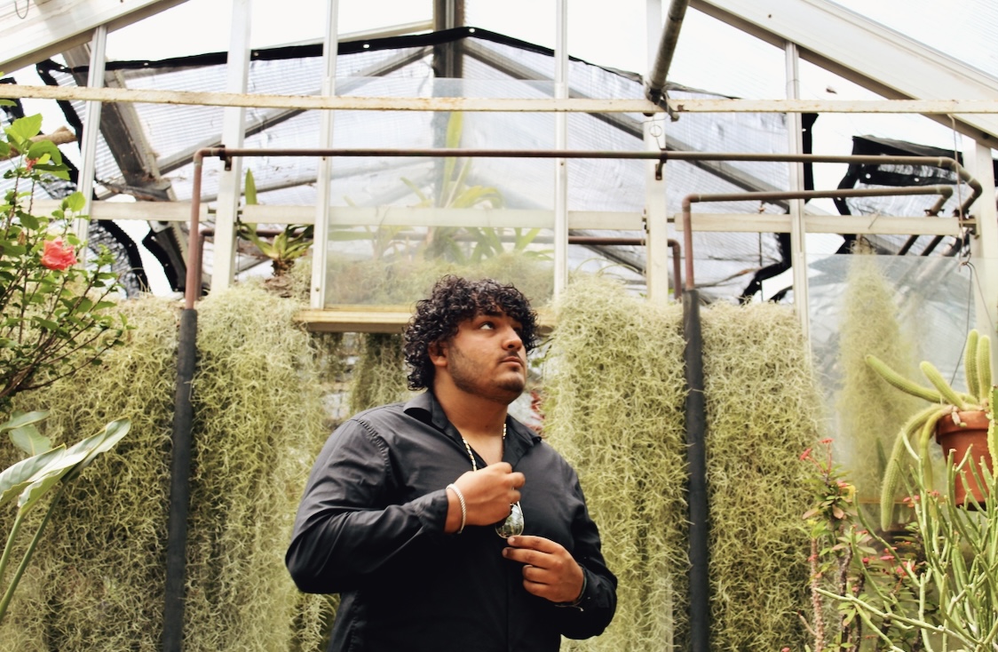 Cade Torres looking up at plants in a greenhouse.